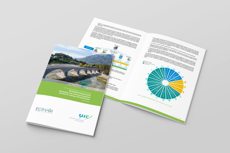 ECOV4R Framework Report Cover